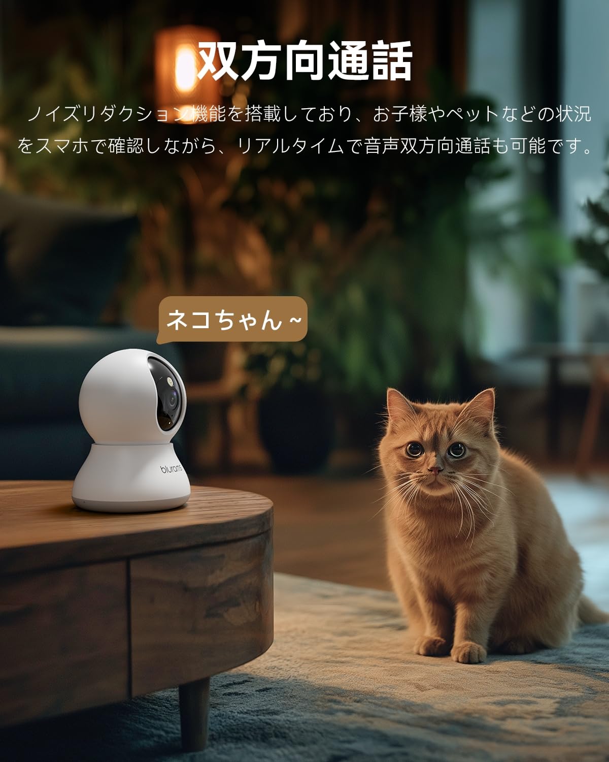 Amazon.co.jp: 【3年保証・Alexa対応・フルカラー暗視 】ペットカメラ